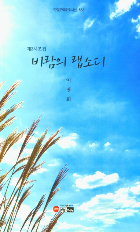 바람의 랩소디(한림문학춘추시선 563)