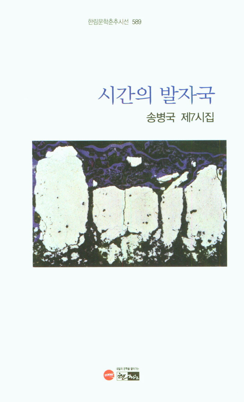 시간의 발자국(한림문학춘추시선 589)