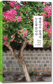 배롱나무 밑에서 누드를 만나다