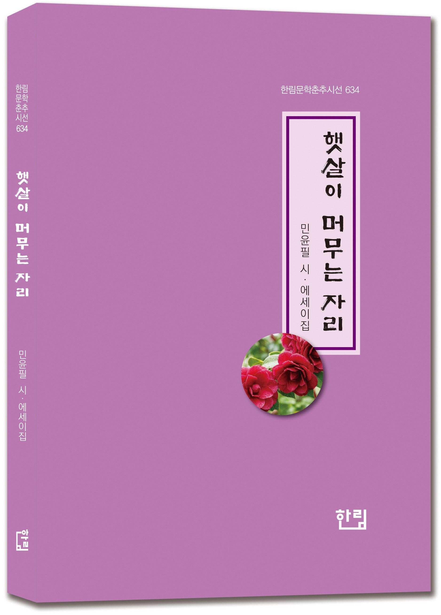 햇살이 머무는 자리