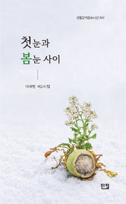 첫눈과 봄눈 사이