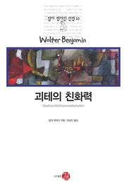 괴테의 친화력(발터 벤야민 선집 10)