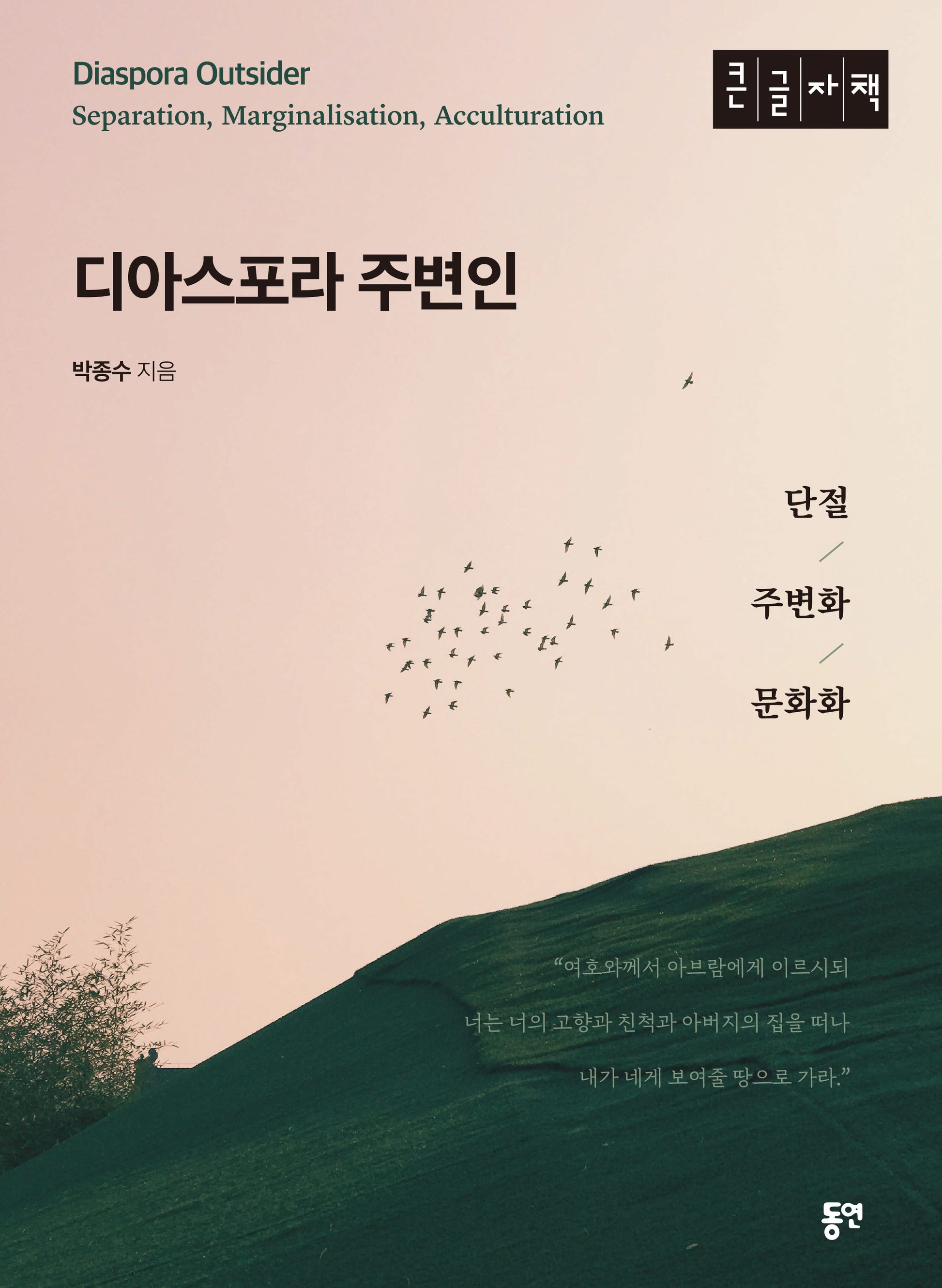 디아스포라 주변인(큰글자도서)