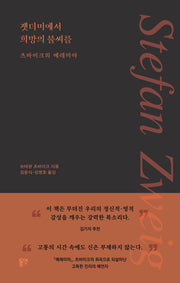 잿더미에서 희망의 불씨를 : 츠바이크의 예레미야(양장본 Hardcover)
