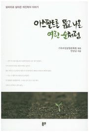 아스팔트를 뚫고 나온 여린 순처럼