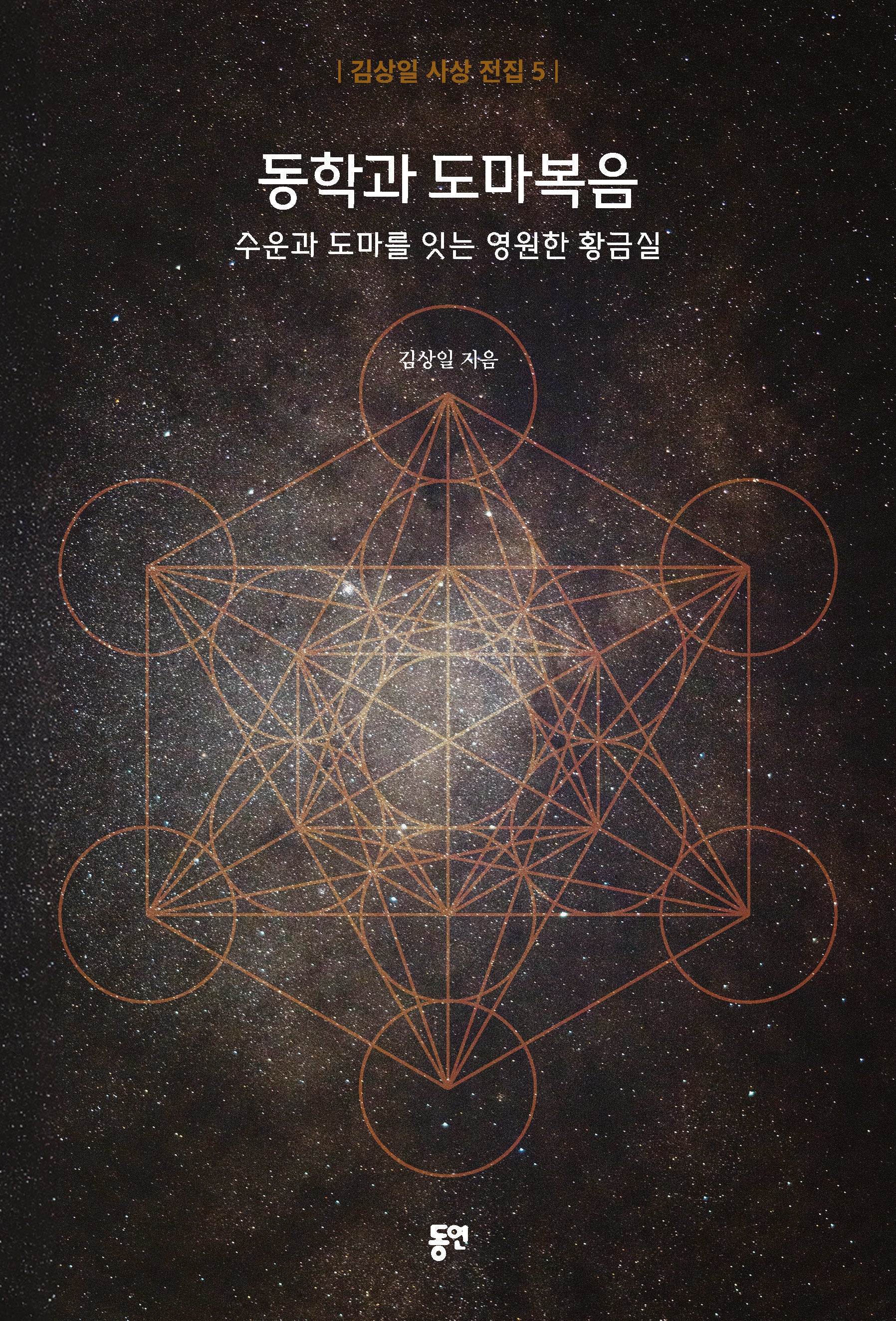 동학과 도마복음(김상일 사상 전집 5)