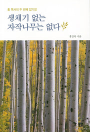 생채기 없는 자작나무는 없다