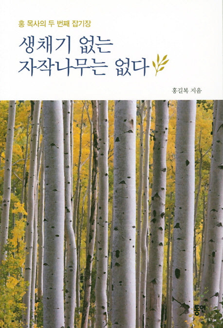 생채기 없는 자작나무는 없다