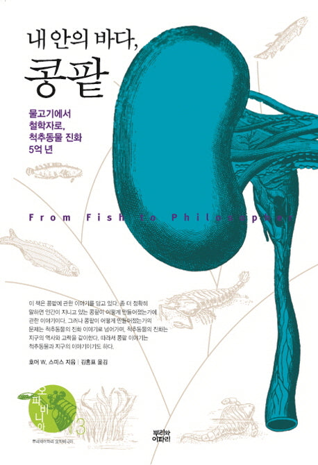 내 안의 바다, 콩팥(양장본 Hardcover)