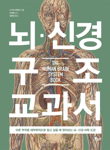 뇌 신경 구조 교과서(지적생활자를 위한 교과서 시리즈)