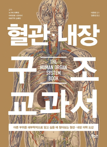 혈관 내장 구조 교과서(지적생활자를 위한 교과서)