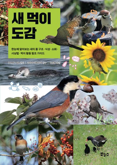 새 먹이 도감