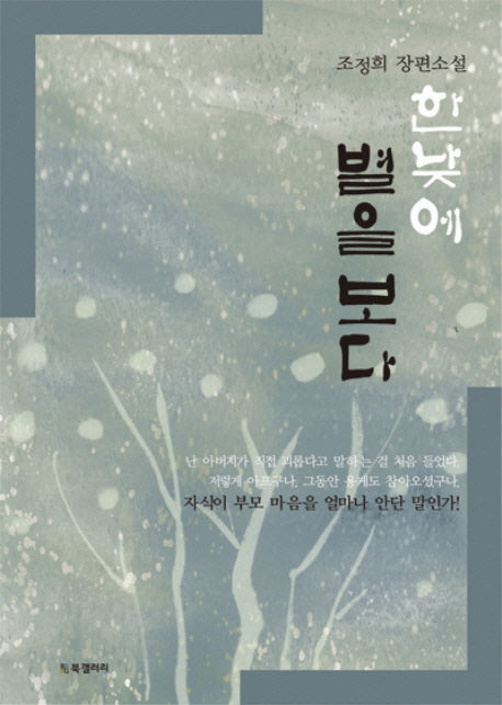 한낮에 별을 보다