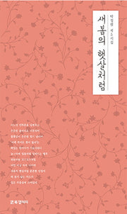 새봄의 햇살처럼