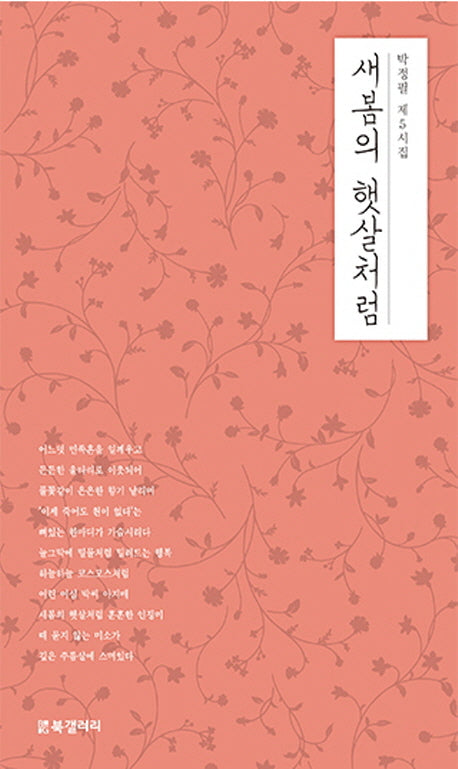 새봄의 햇살처럼