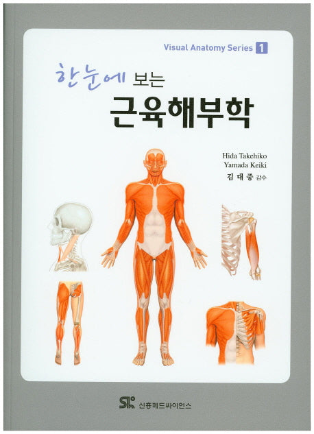 근육해부학(한눈에 보는)(Visual Anatomy Series 1)