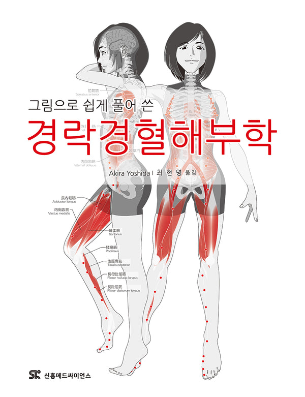 경락경혈해부학(그림으로 쉽게 풀어 쓴)