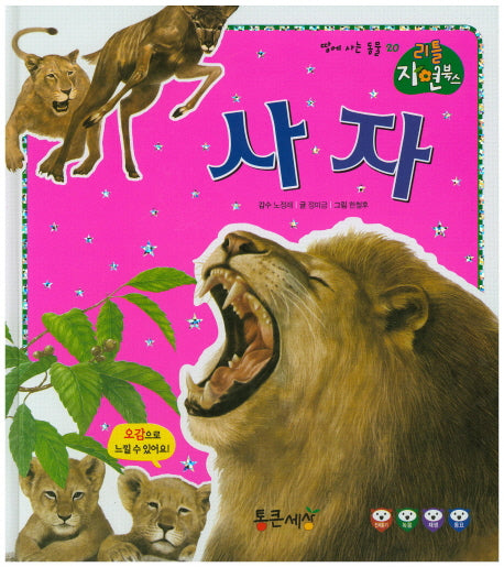 사자(리틀 자연북스 20)(양장본 HardCover)