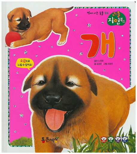 개(리틀 자연북스 24)(양장본 HardCover)