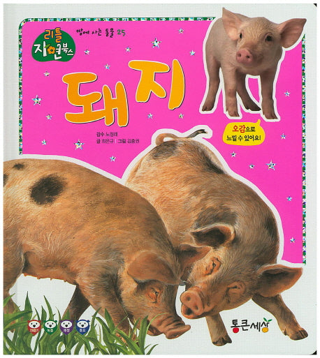 돼지(리틀 자연북스 25)(양장본 HardCover)