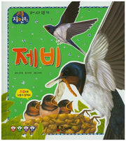 제비(리틀 자연북스 32)(양장본 HardCover)