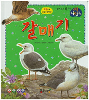 갈매기(리틀 자연북스 34)(양장본 HardCover)