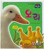 오리(리틀 자연북스 35)(양장본 HardCover)