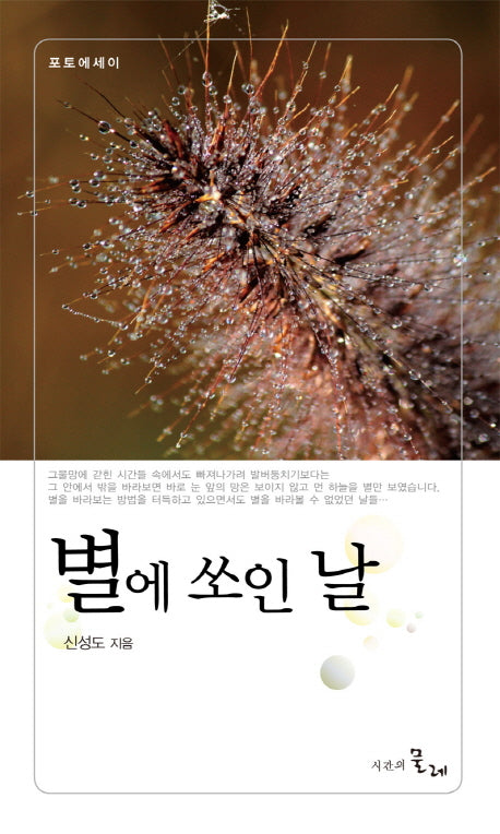 별에 쏘인 날