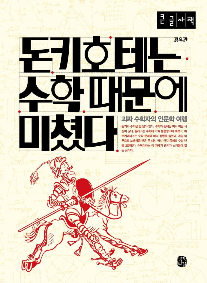 돈키호테는 수학 때문에 미쳤다(큰글자책)