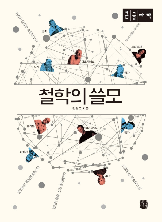 철학의 쓸모(큰글자책)