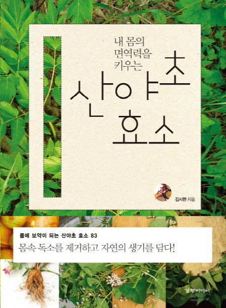 산야초 효소(내 몸의 면역력을 키우는)