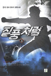 질풍처럼 3