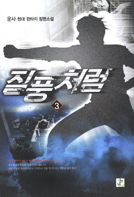 질풍처럼 3
