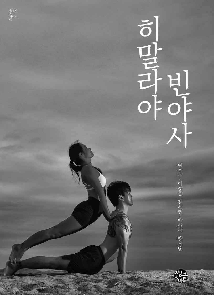 히말라야 빈야사(울루루 요가 시리즈 1)
