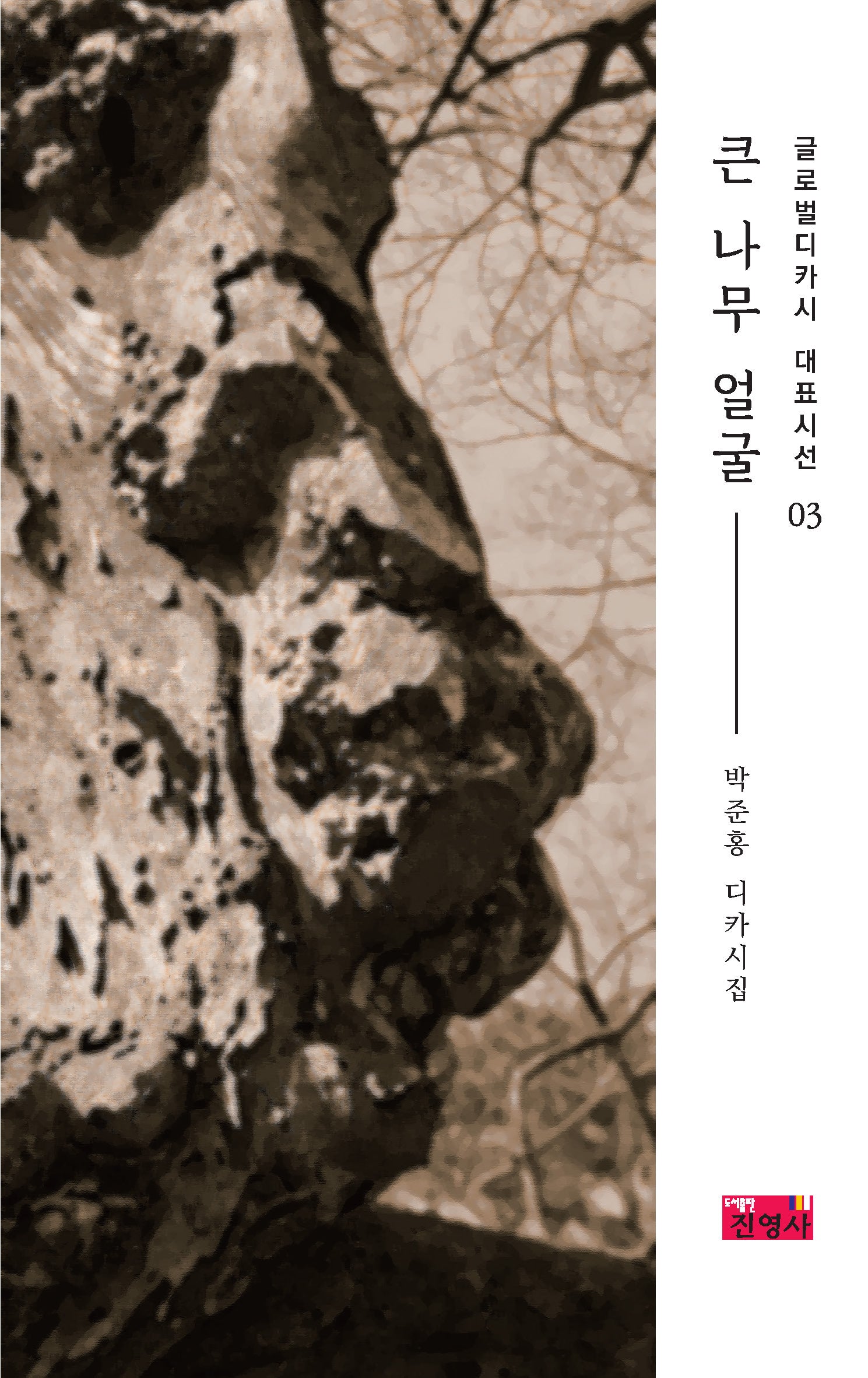 큰 나무 얼굴(글로벌디카시 대표시선 3)