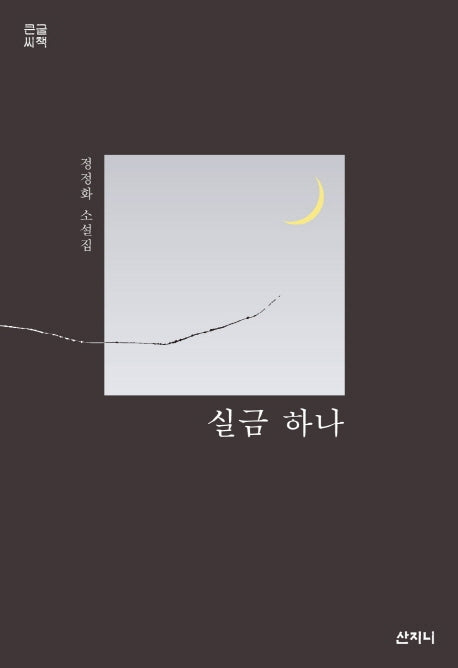 실금 하나(큰글씨책)