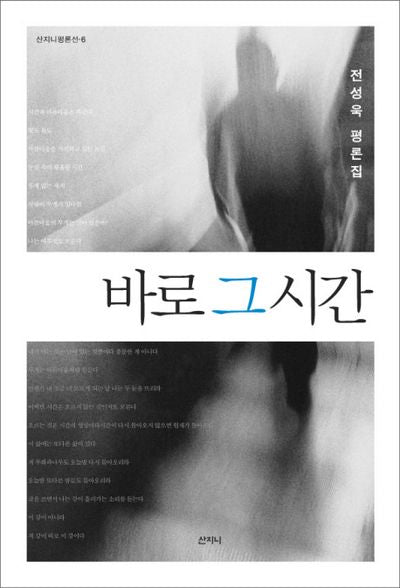 바로 그 시간(산지니평론선 6)