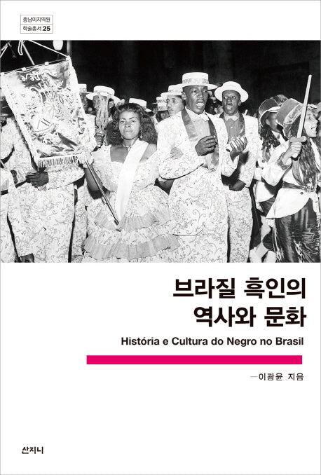브라질 흑인의 역사와 문화(중남미지역원 학술총서 25)