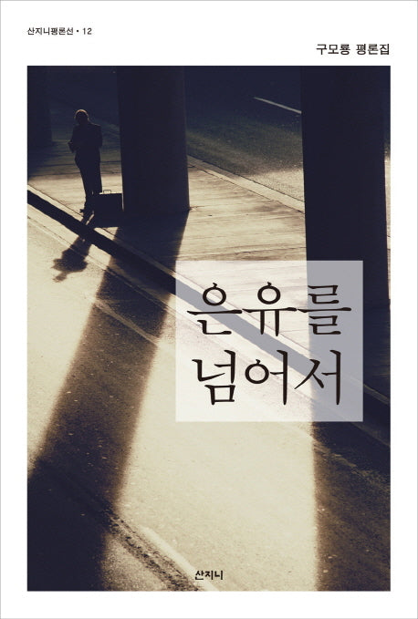 은유를 넘어서(산지니평론선 12)