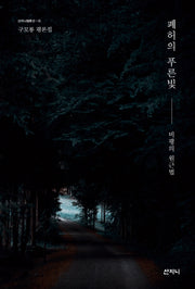 폐허의 푸른빛(산지니평론선 15)