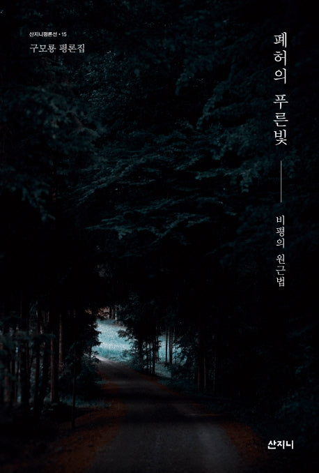 폐허의 푸른빛(산지니평론선 15)