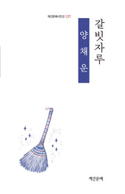 갈빗자루(계간문예시인선 227)