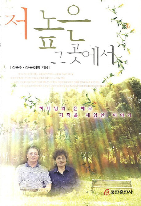 저 높은 그곳에서