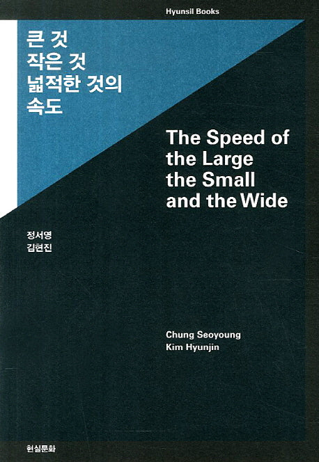 큰 것 작은 것 넓적한 것의 속도(반양장)