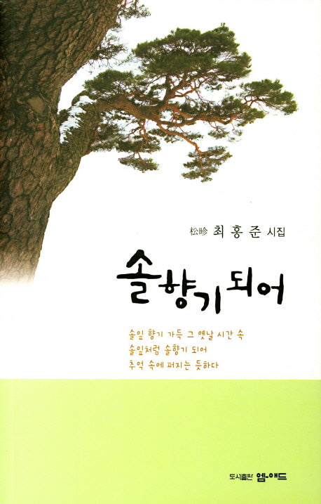 솔향기 되어