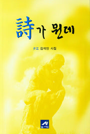 시가 뭔데
