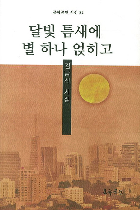 달빛 틈새에 별 하나 얹히고(문학공원 시선 82)