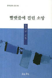 빨랫줄에 걸린 소망(문학공원 시선 85)