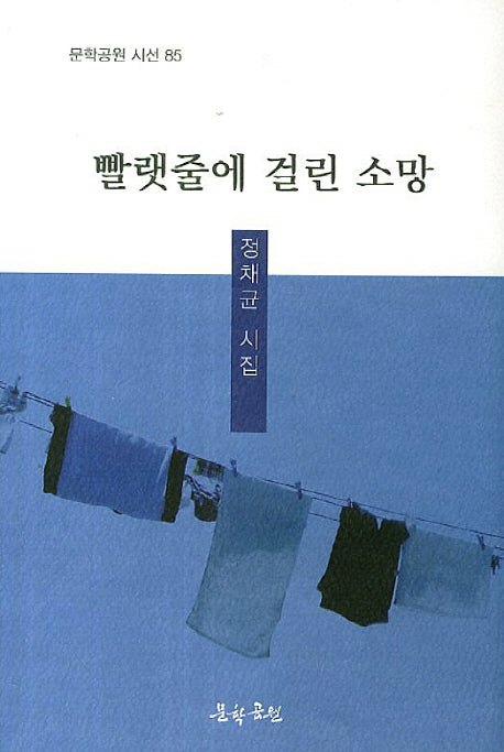 빨랫줄에 걸린 소망(문학공원 시선 85)