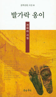 발가락 옹이(문학공원 시선 93)